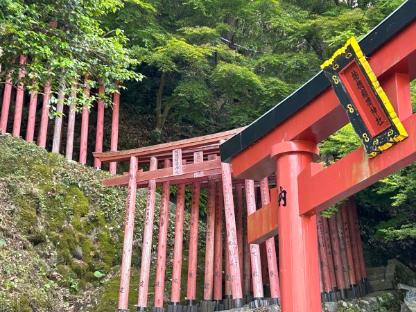 Yutoku Inari Shrine: Kyushu’s largest shrine dedicated to the god of ...